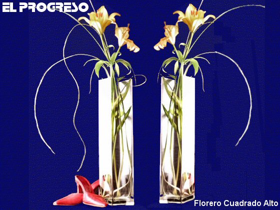 Volver a Floreros